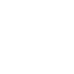 Service-based companies