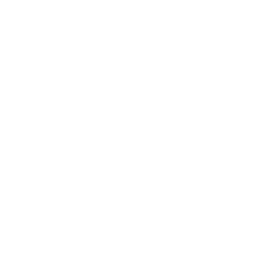 Startups looking to scale